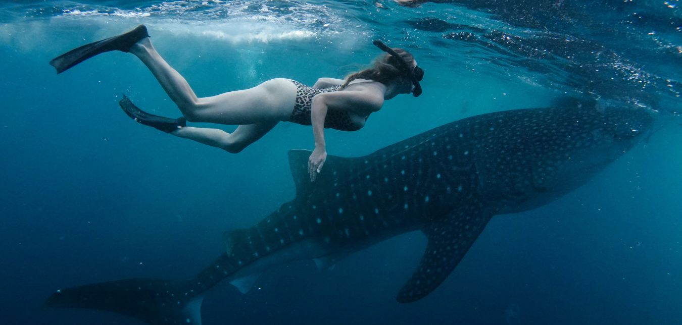 HOLIDAY TO SUMBAWA 4 Days 3 Nights