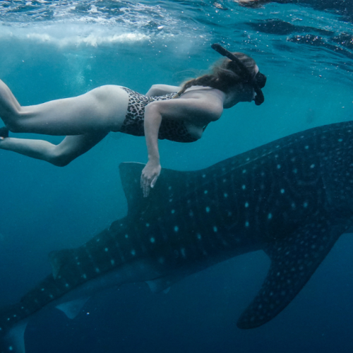 HOLIDAY TO SUMBAWA 4 Days 3 Nights