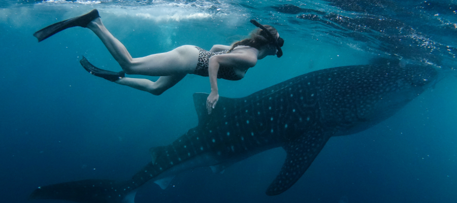 HOLIDAY TO SUMBAWA 4 Days 3 Nights